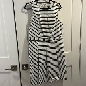 Size 14 Tall The Limited Dress